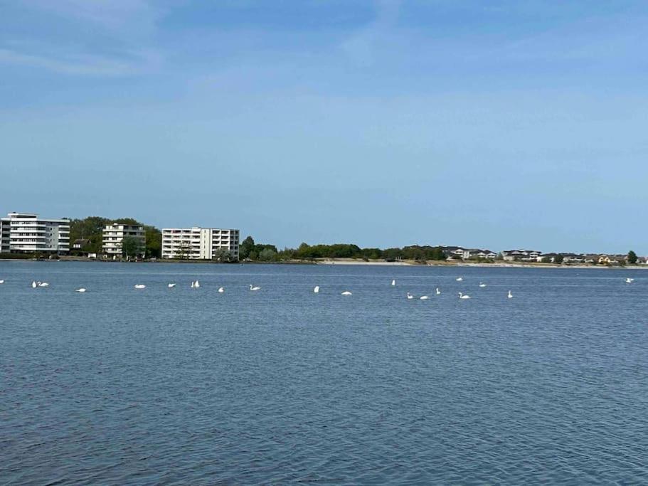 Seaview, Beach, Sunsets, Nature Heiligenhafen Exteriör bild